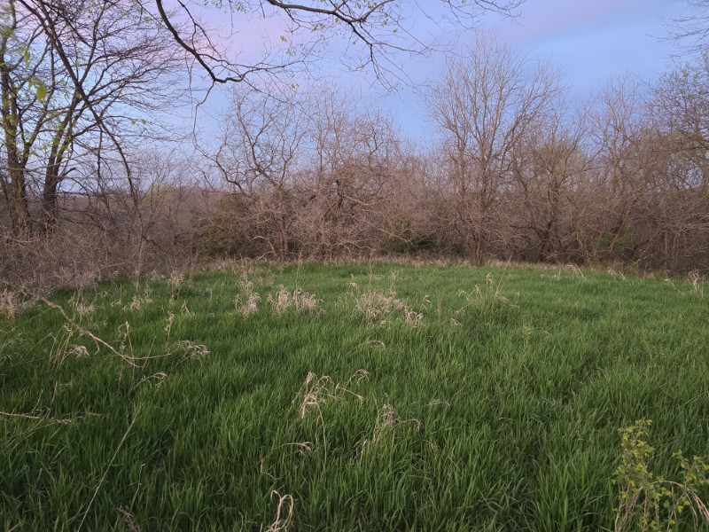 Listing photo 62